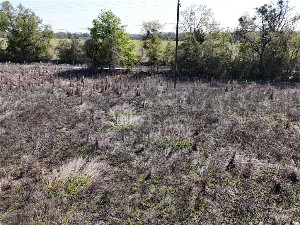 Land at TBD NW 50 ST, BELL FL 32619, Bell, photo 33 of 40