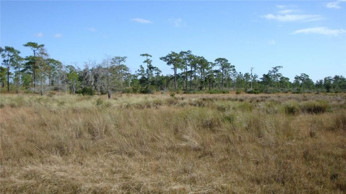 Land at HWY 630 E, Frostproof FL 33843, photo 5 of 17