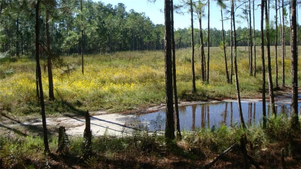 Land at HWY 630 E, Frostproof FL 33843, photo 7 of 17