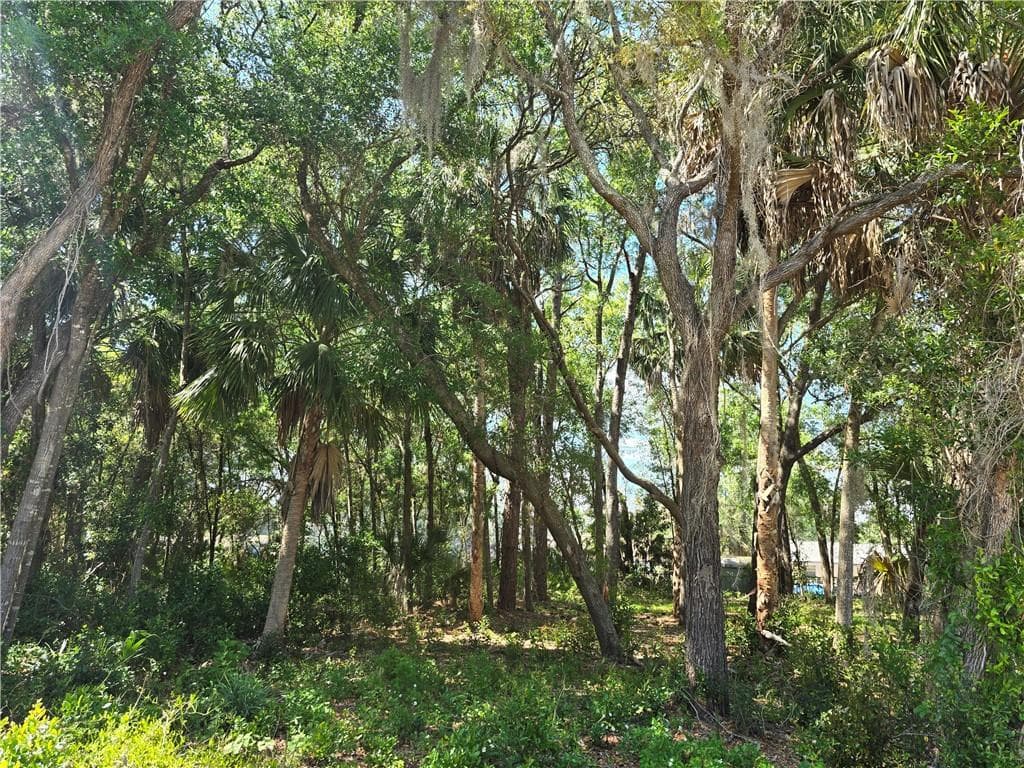 Land at 7075 W Crestview LN, CRYSTALRIVER FL 34429, Crystal River