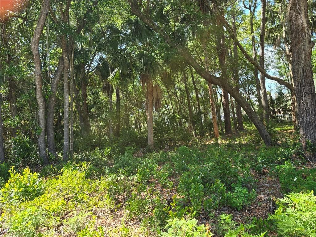 Land at 7075 W Crestview LN, CRYSTALRIVER FL 34429, Crystal River, photo 2 of 9