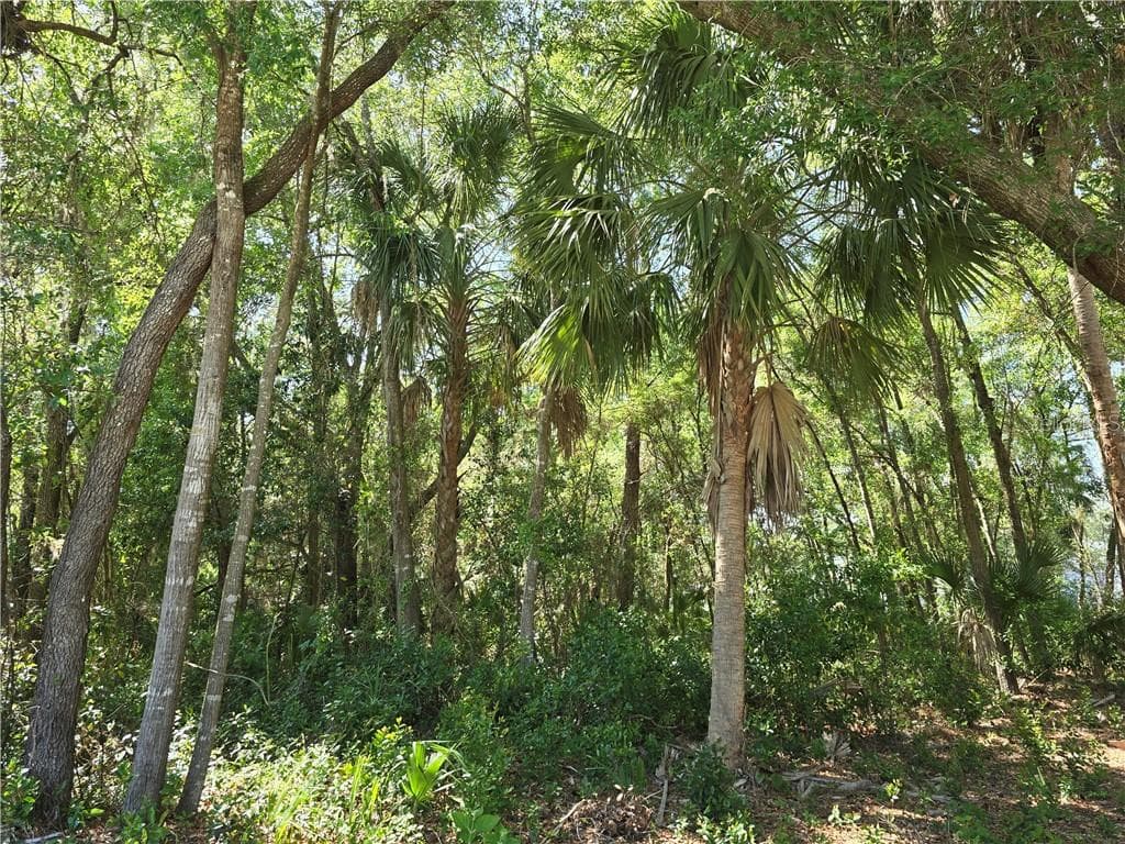 Land at 7075 W Crestview LN, CRYSTALRIVER FL 34429, Crystal River, photo 3 of 9