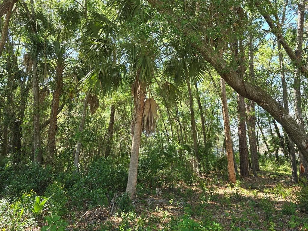 Land at 7075 W Crestview LN, CRYSTALRIVER FL 34429, Crystal River, photo 4 of 9