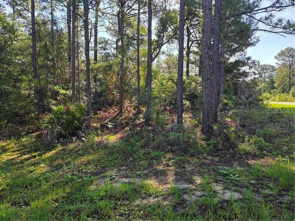 Land at 6951 N Tallwood DR, CITRUSSPRINGS FL 34434, Citrus Springs, photo 17 of 22