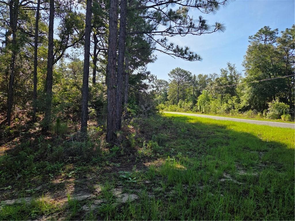 Land at 6951 N Tallwood DR, CITRUSSPRINGS FL 34434, Citrus Springs, photo 18 of 22