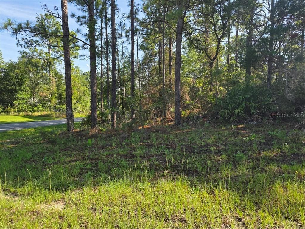 Land at 6951 N Tallwood DR, CITRUSSPRINGS FL 34434, Citrus Springs, photo 19 of 22