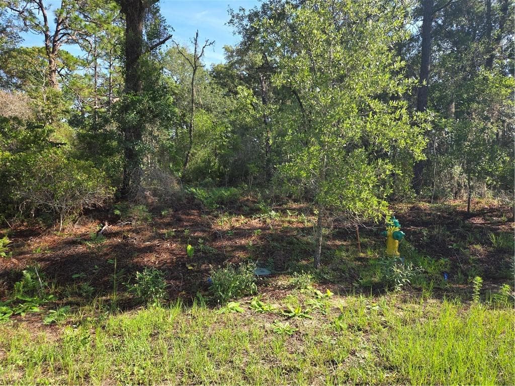 Land at 6951 N Tallwood DR, CITRUSSPRINGS FL 34434, Citrus Springs, photo 21 of 22