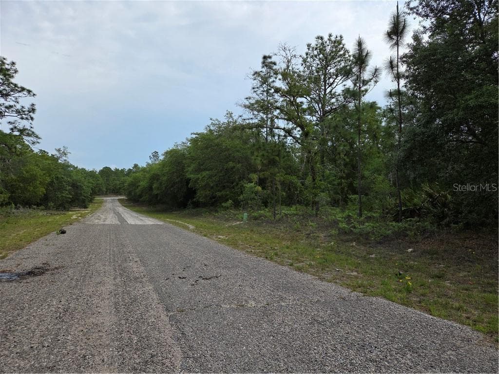 Land at 6493 N Matheson DR, DUNNELLON FL 34434, Dunnellon, photo 2 of 18