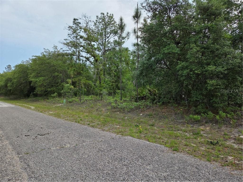 Land at 6493 N Matheson DR, DUNNELLON FL 34434, Dunnellon, photo 3 of 18