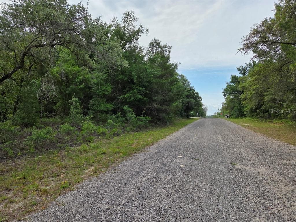 Land at 6493 N Matheson DR, DUNNELLON FL 34434, Dunnellon, photo 4 of 18