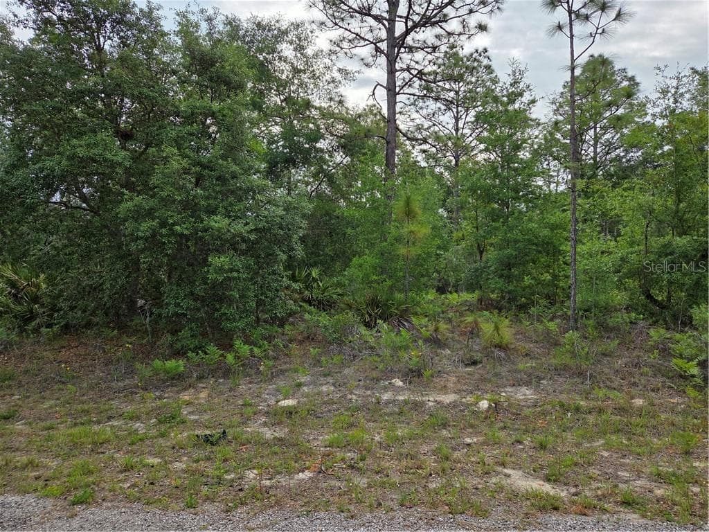 Land at 6493 N Matheson DR, DUNNELLON FL 34434, Dunnellon, photo 6 of 18