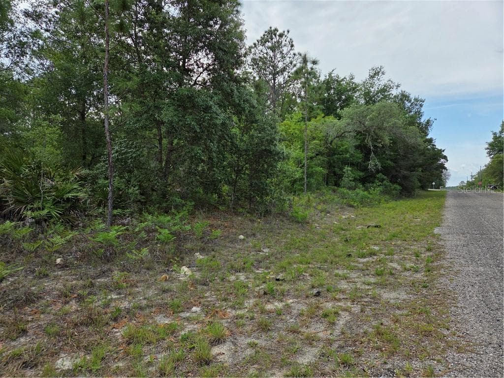 Land at 6493 N Matheson DR, DUNNELLON FL 34434, Dunnellon, photo 10 of 18