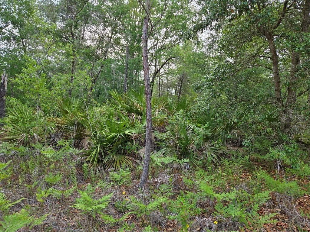 Land at 6493 N Matheson DR, DUNNELLON FL 34434, Dunnellon, photo 11 of 18