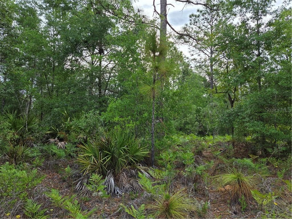 Land at 6493 N Matheson DR, DUNNELLON FL 34434, Dunnellon, photo 13 of 18