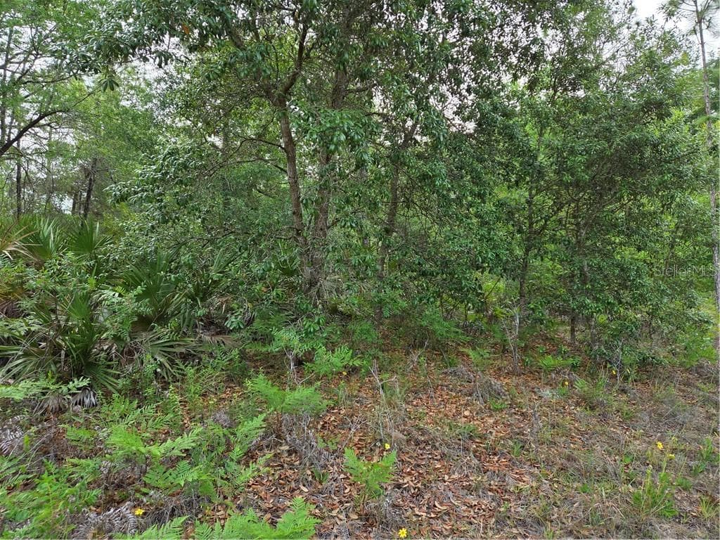 Land at 6493 N Matheson DR, DUNNELLON FL 34434, Dunnellon, photo 14 of 18