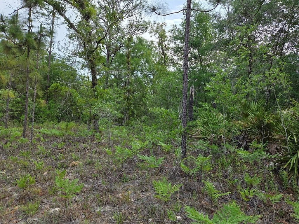 Land at 6493 N Matheson DR, DUNNELLON FL 34434, Dunnellon, photo 15 of 18