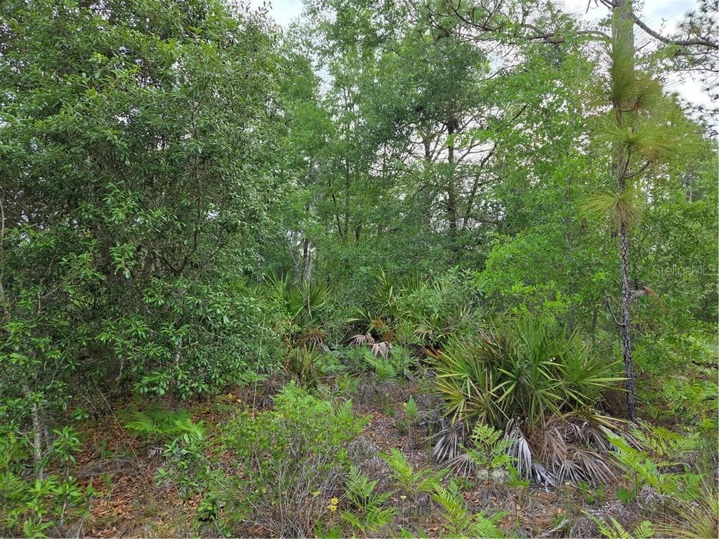 Land at 6493 N Matheson DR, DUNNELLON FL 34434, Dunnellon, photo 16 of 18