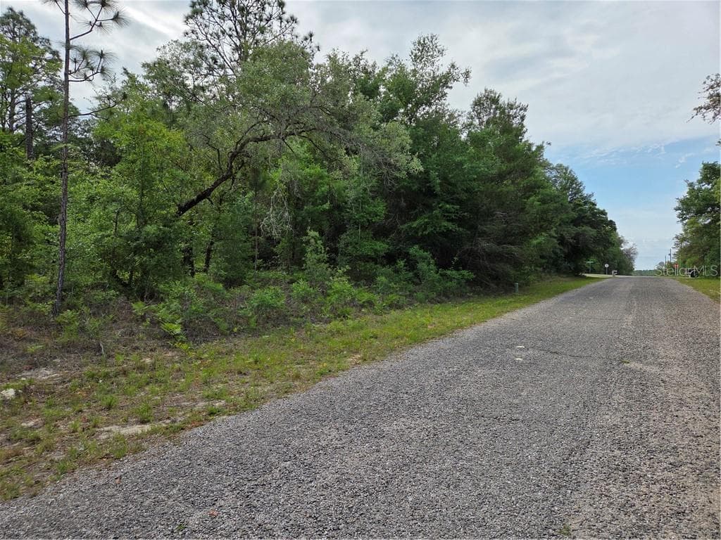 Land at 6493 N Matheson DR, DUNNELLON FL 34434, Dunnellon, photo 17 of 18