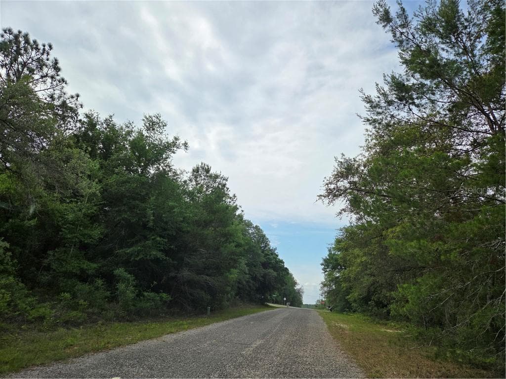 Land at 6493 N Matheson DR, DUNNELLON FL 34434, Dunnellon, photo 18 of 18