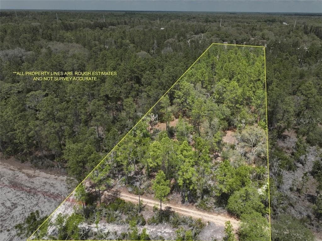 Land at TBD NE 56TH ST, BRONSON FL 32621, Bronson, photo 2 of 31