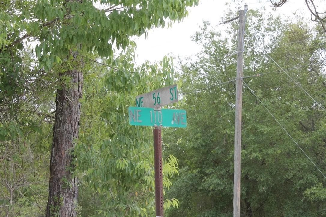 Land at TBD NE 56TH ST, BRONSON FL 32621, Bronson, photo 6 of 31