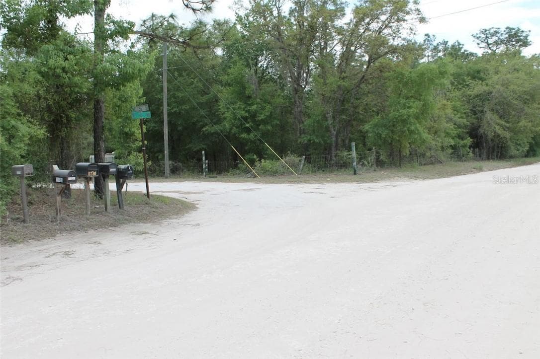 Land at TBD NE 56TH ST, BRONSON FL 32621, Bronson, photo 10 of 31