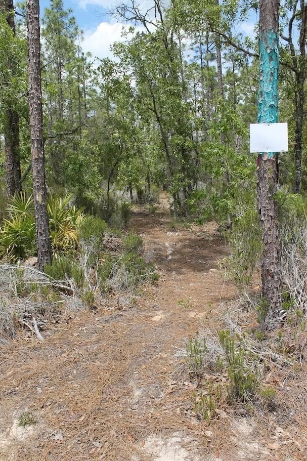 Land at TBD NE 56TH ST, BRONSON FL 32621, Bronson, photo 16 of 31