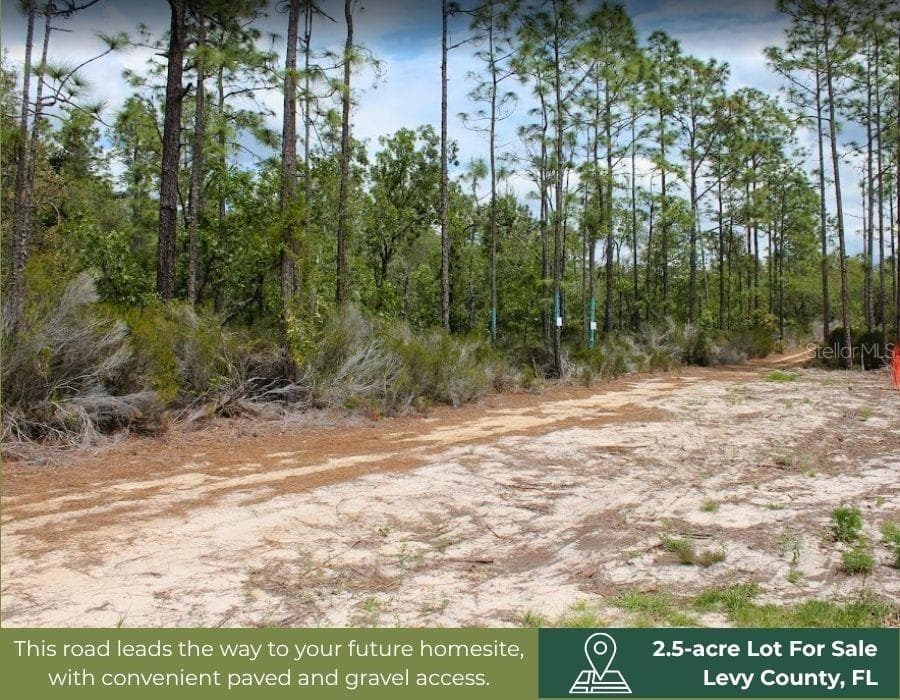 Land at TBD NE 56TH ST, BRONSON FL 32621, Bronson, photo 17 of 31
