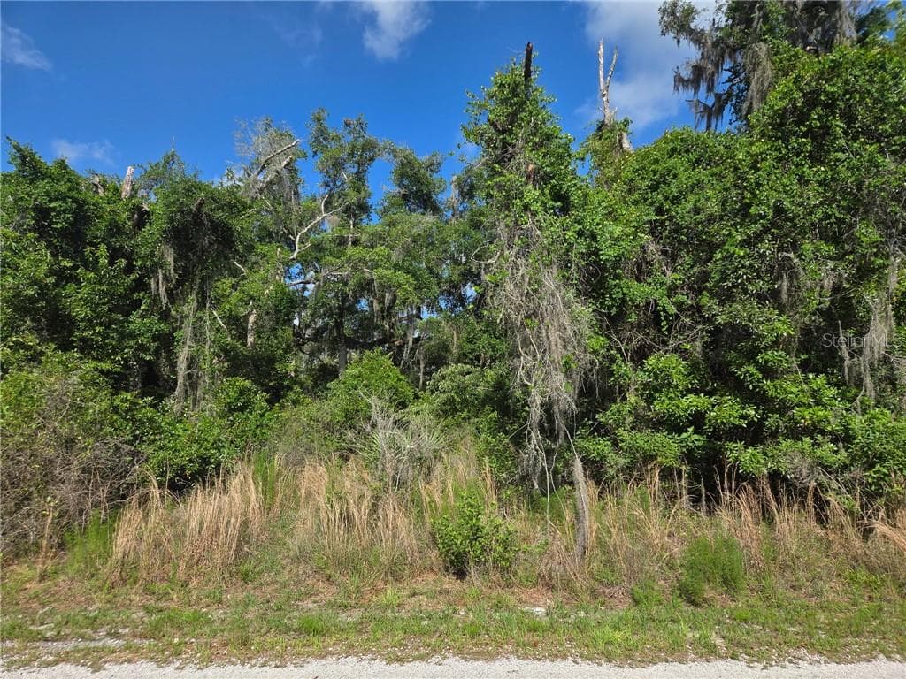 Land at 4240 S Kenvera LOOP, INVERNESS FL 34450, Inverness, photo 11 of 13