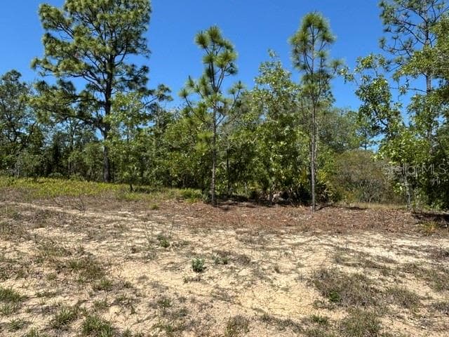 Land at 2888 W Lambert DR, DUNNELLON FL 34433, photo 2 of 7