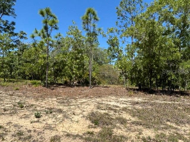 Land at 2888 W Lambert DR, DUNNELLON FL 34433, photo 3 of 7