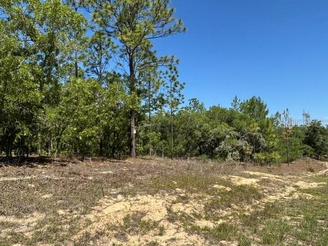 Land at 2888 W Lambert DR, DUNNELLON FL 34433, photo 5 of 7
