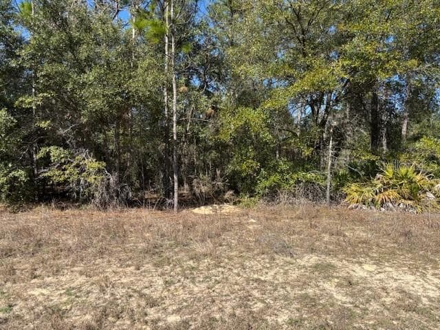 Land at 497 W Hummingbird Drive, Citrus Springs FL 34434, Citrus Springs