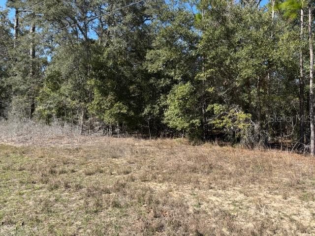 Land at 497 W Hummingbird Drive, Citrus Springs FL 34434, Citrus Springs, photo 2 of 7