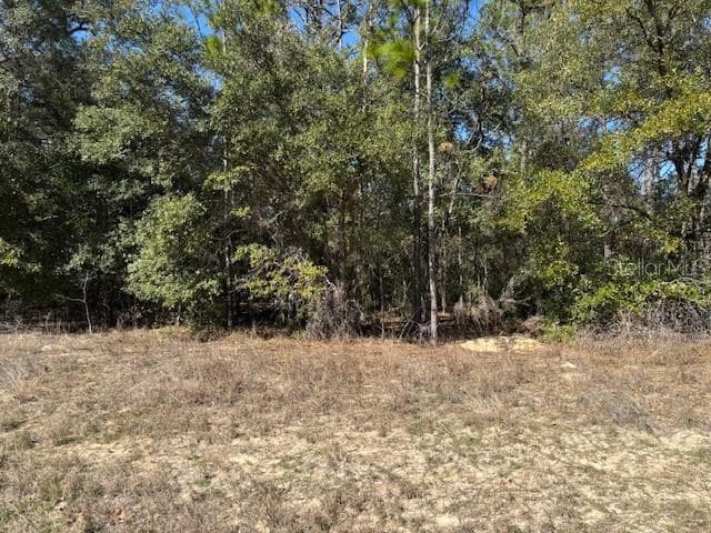Land at 497 W Hummingbird Drive, Citrus Springs FL 34434, Citrus Springs, photo 3 of 7