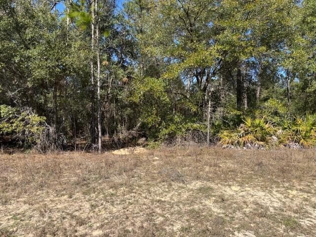 Land at 497 W Hummingbird Drive, Citrus Springs FL 34434, Citrus Springs, photo 4 of 7