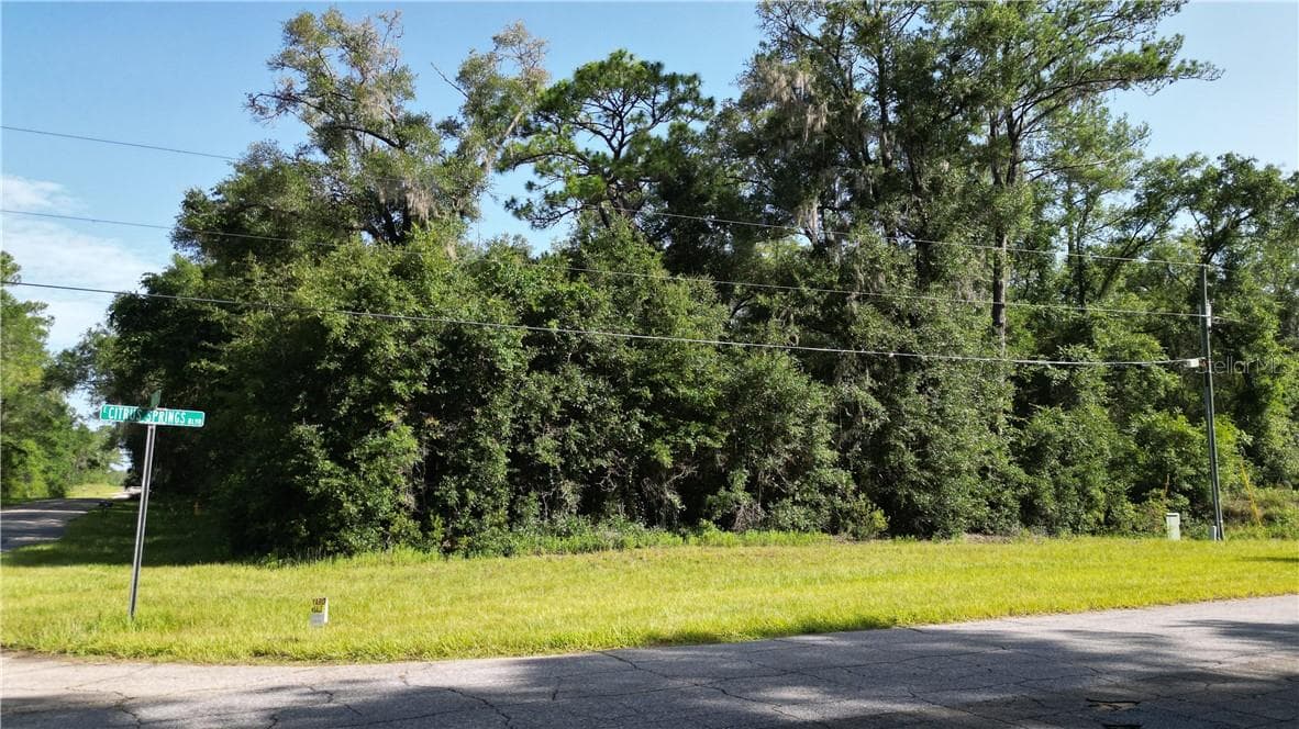 Land at 825 E Anton DR, CITRUSSPRINGS FL 34434, Citrus Springs, photo 8 of 9