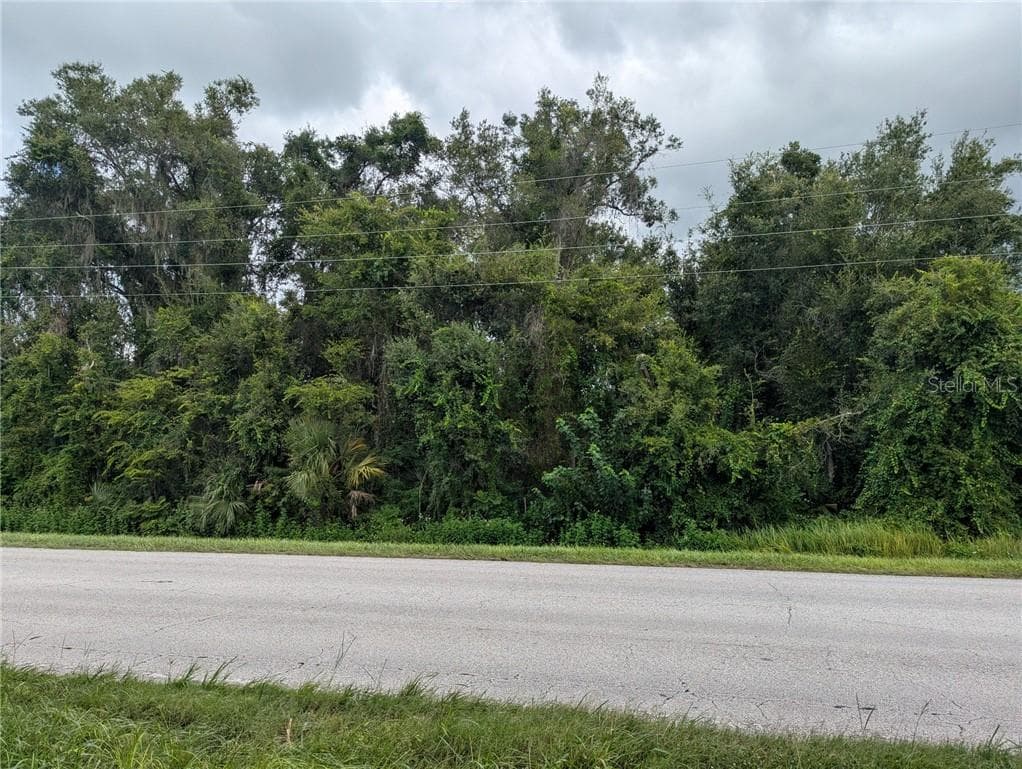 Land at 0 E C 48, BUSHNELL FL 33513, Bushnell, photo 5 of 26