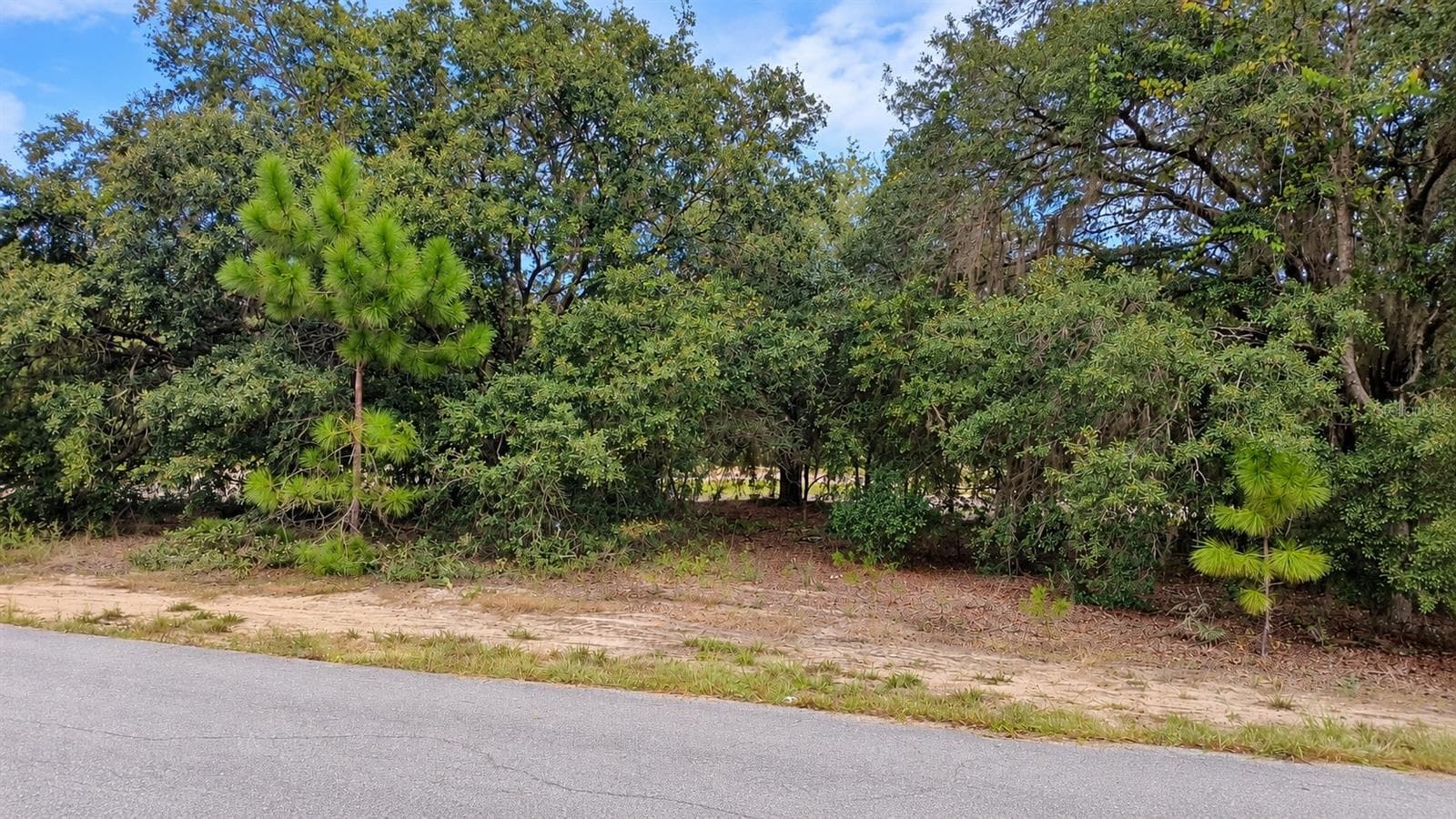 Land at TBD SE MALAUKA LOOP RUN RD, OCKLAWAHA, photo 2 of 3