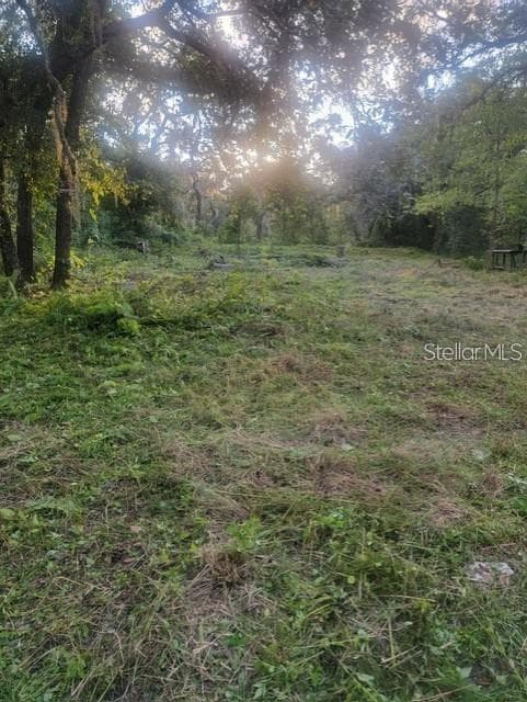 Land at 10145 LORELL ST, NEW PORT RICHEY, photo 4 of 5