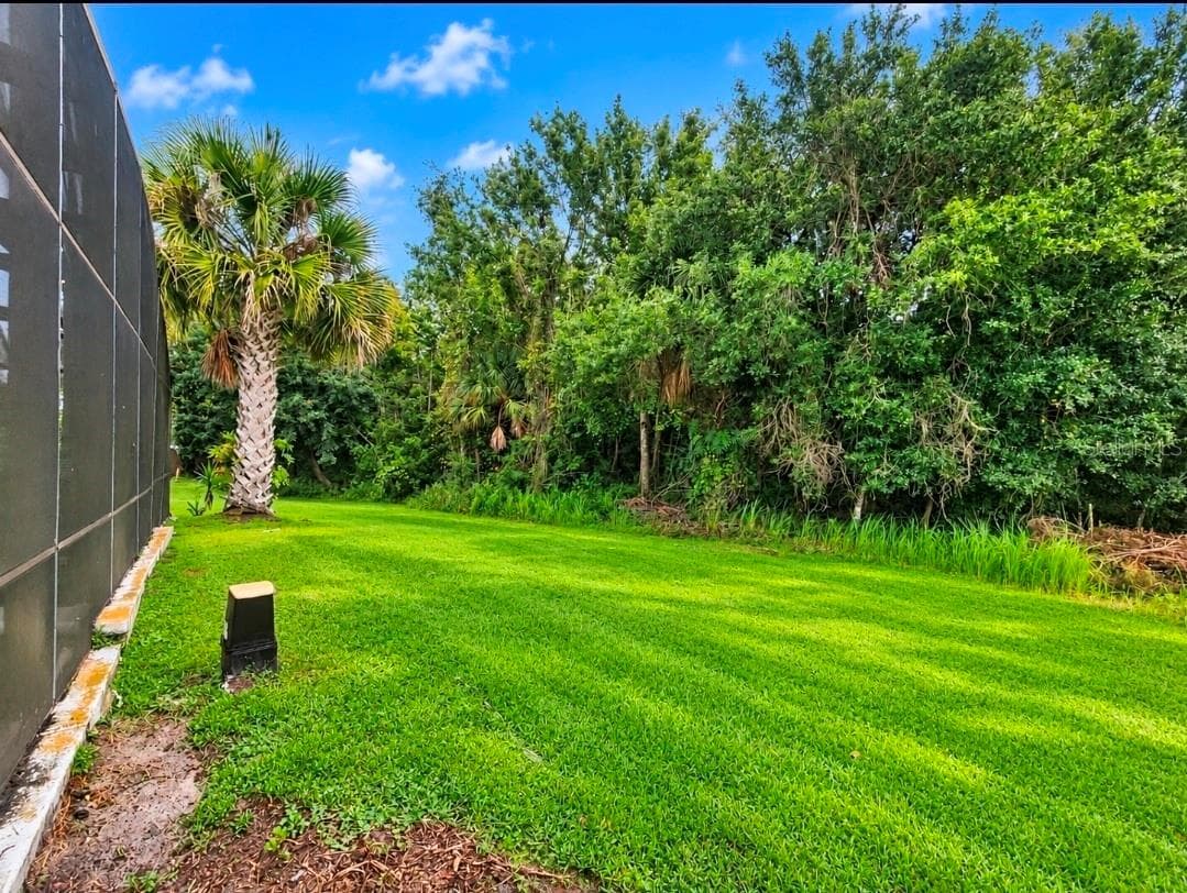 BACK YARD/ CONSERVATION - 4640 EAGLE PEAK DR, KISSIMMEE