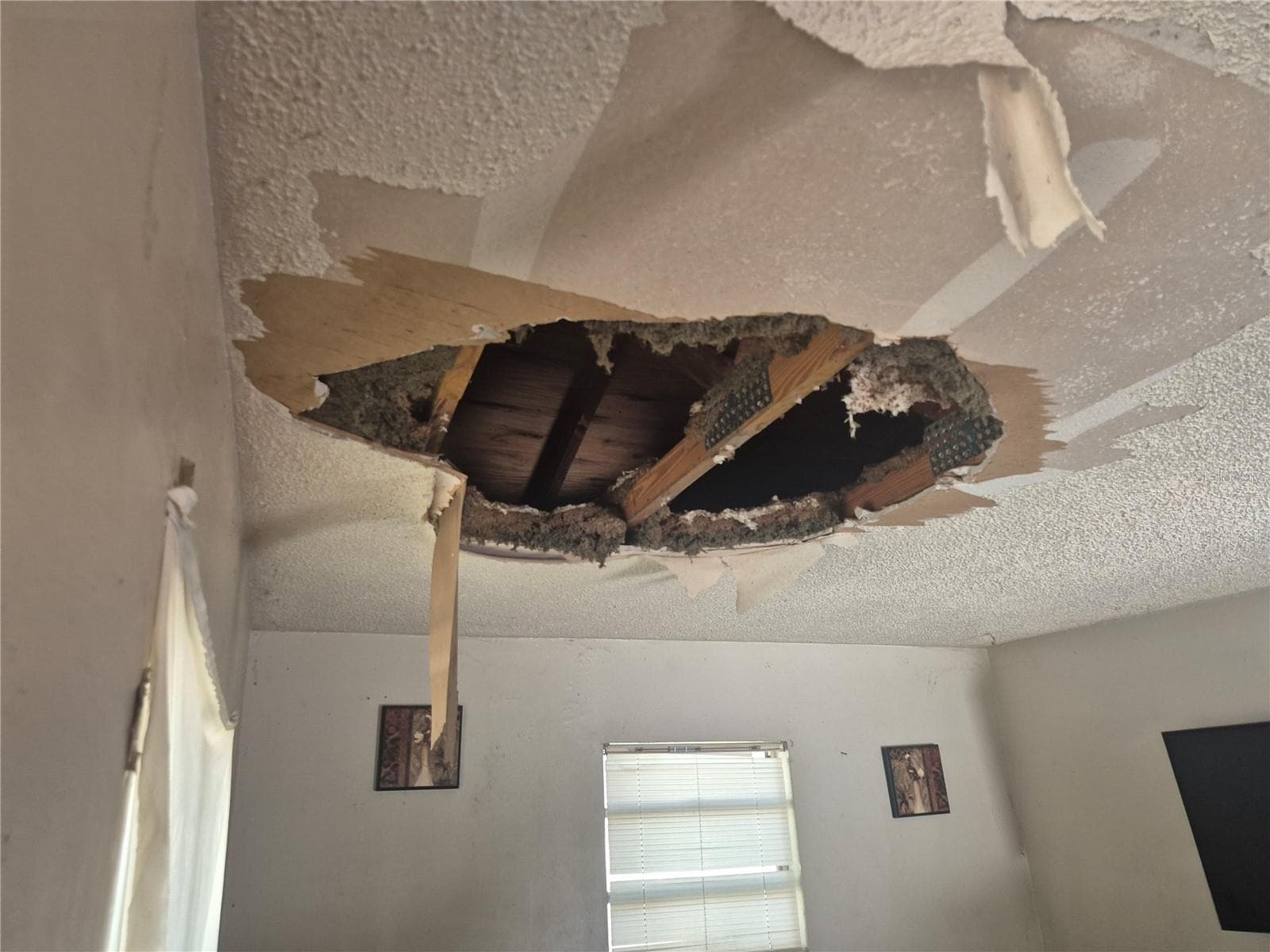 Single Family Residence at 1909 W PALMETTO ST, TAMPA, photo 5 of 11