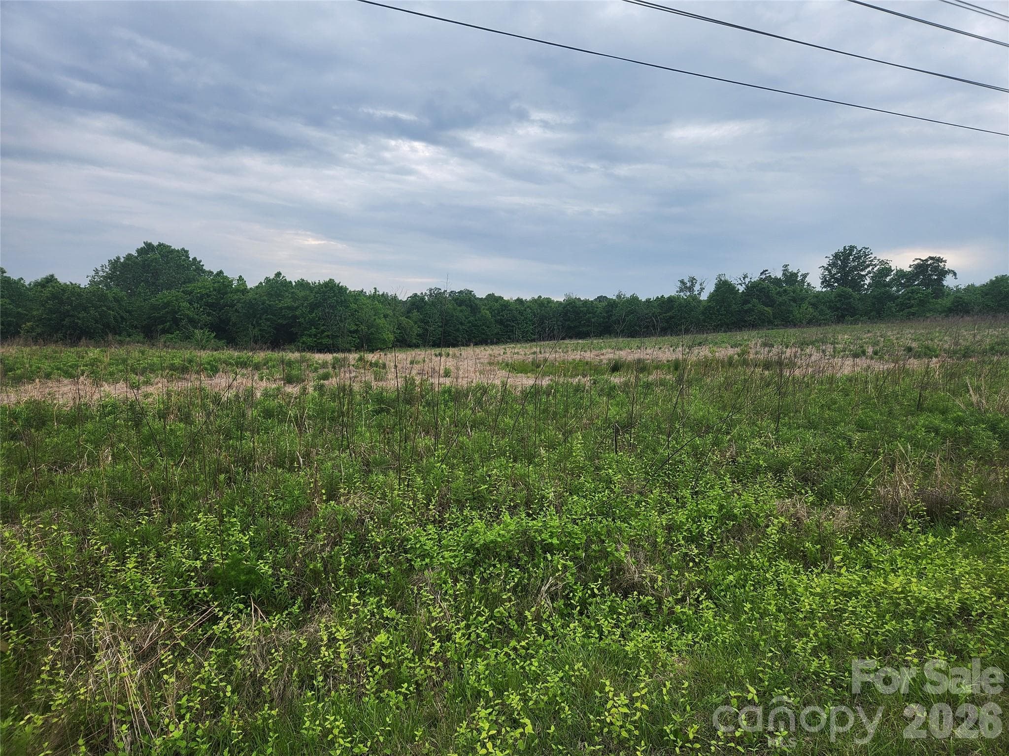 Acreage at 000 Winchester Road, Monroe, photo 10 of 12