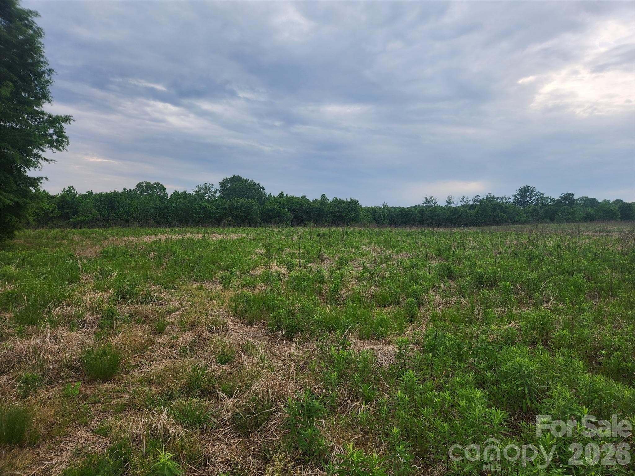 Acreage at 000 Winchester Road, Monroe, photo 11 of 12
