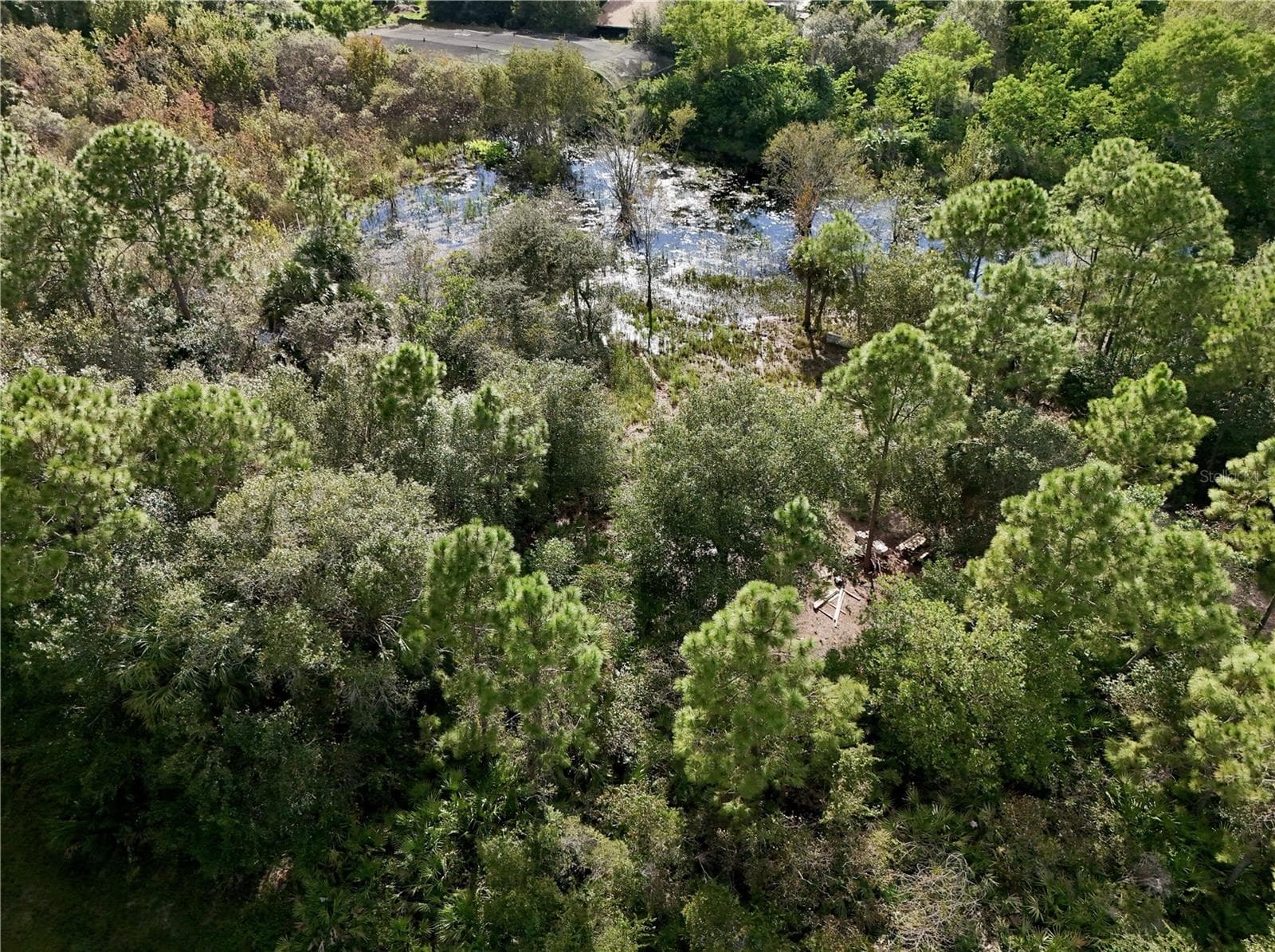 Land at 240 TAMPA AVE, CLEWISTON, photo 43 of 45