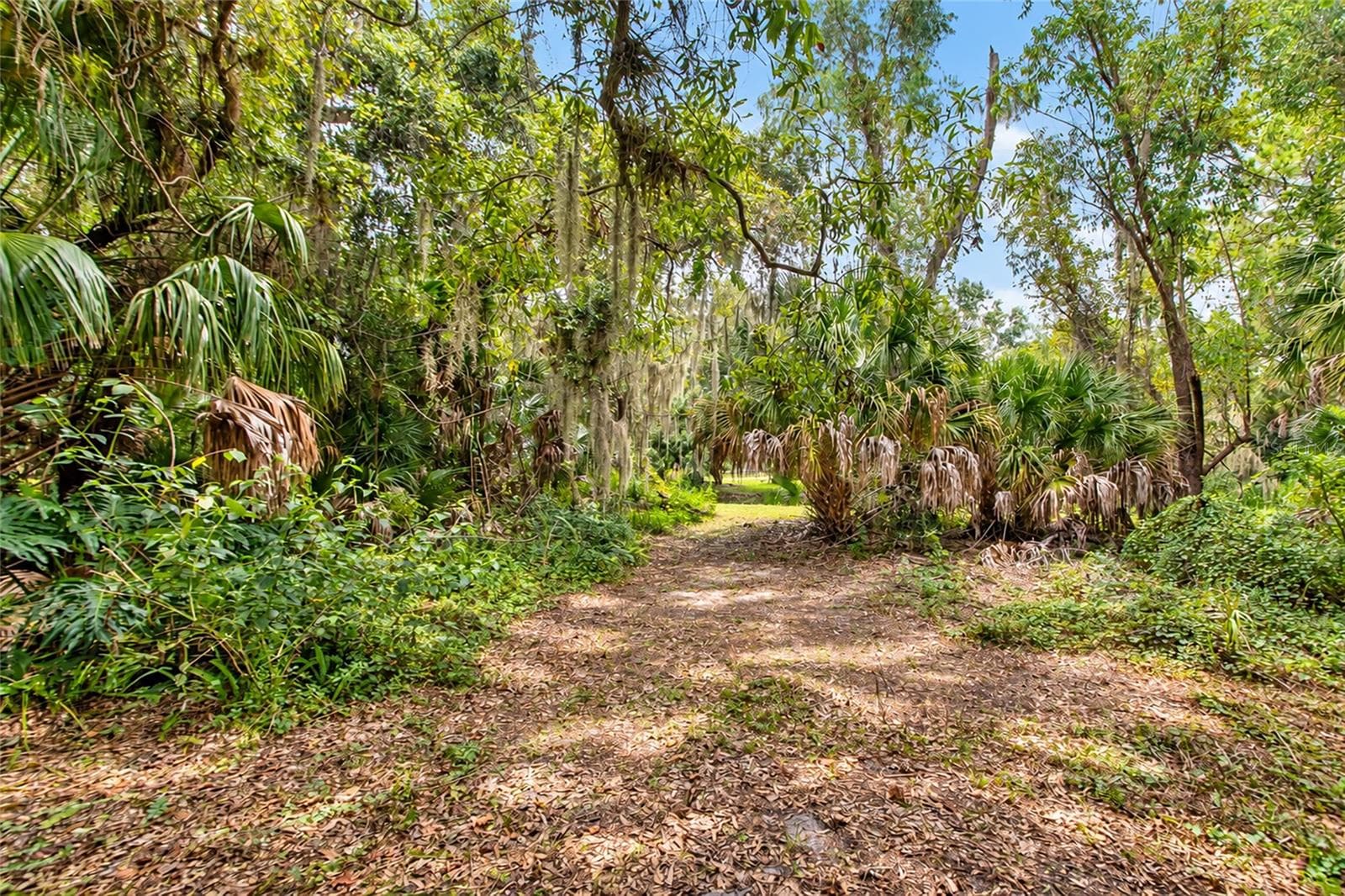 View from the Back of the House to the Drainage Easement. - 4781 STONE RIDGE TRL, SARASOTA