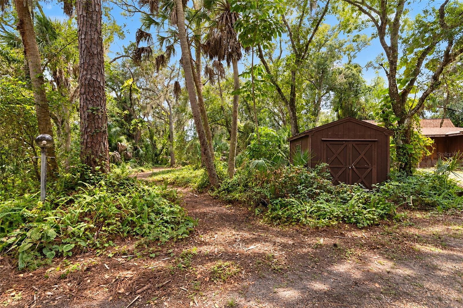 Paths Through the Woods in the Front Yard. - 4781 STONE RIDGE TRL, SARASOTA