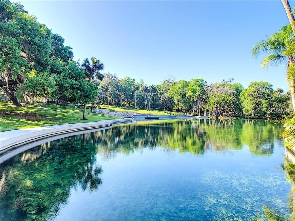 Natural springs - yours to enjoy every day - 221 PINE CONE LN, LONGWOOD