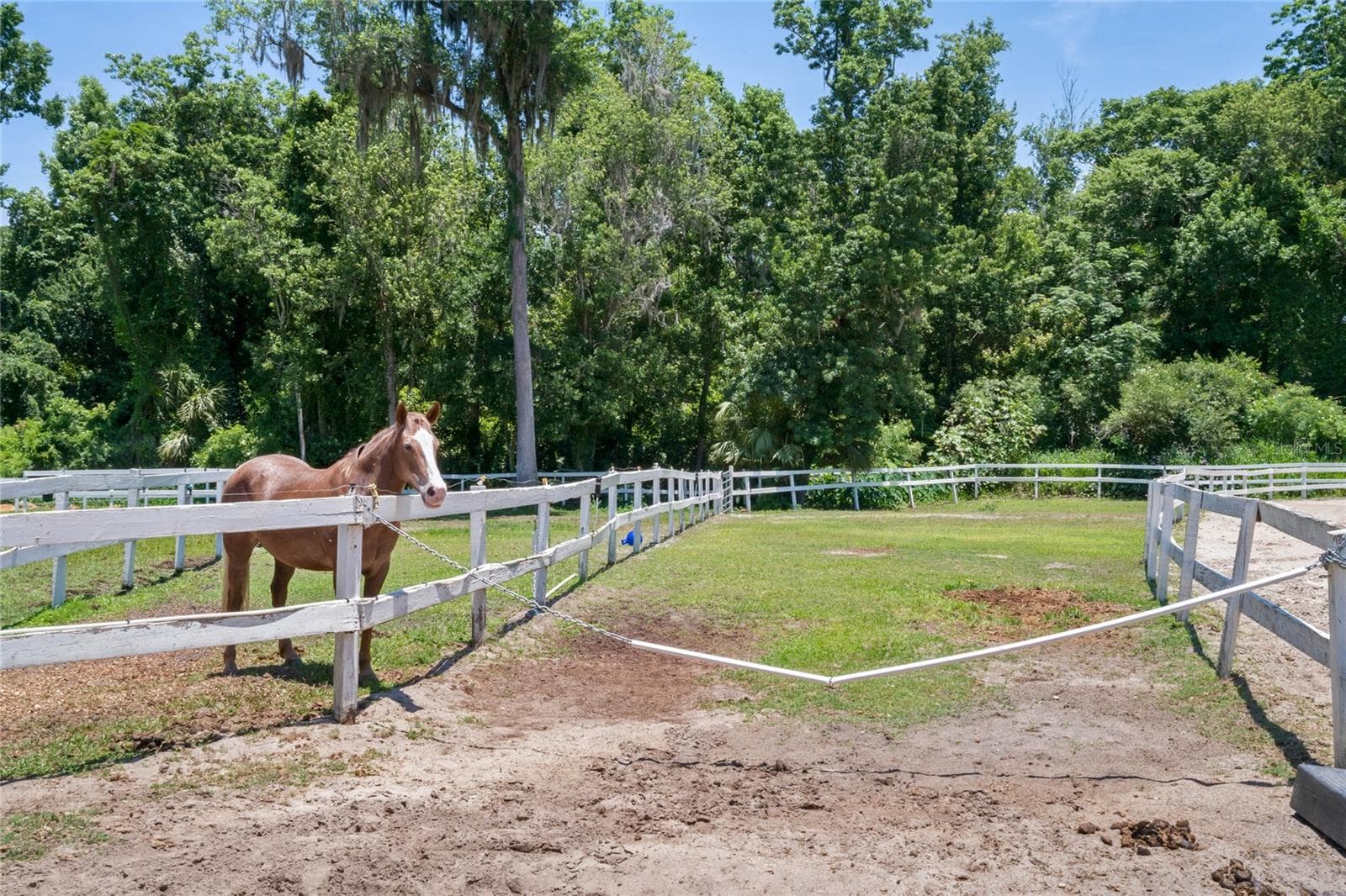 Horse stables in the neighborhood - 221 PINE CONE LN, LONGWOOD