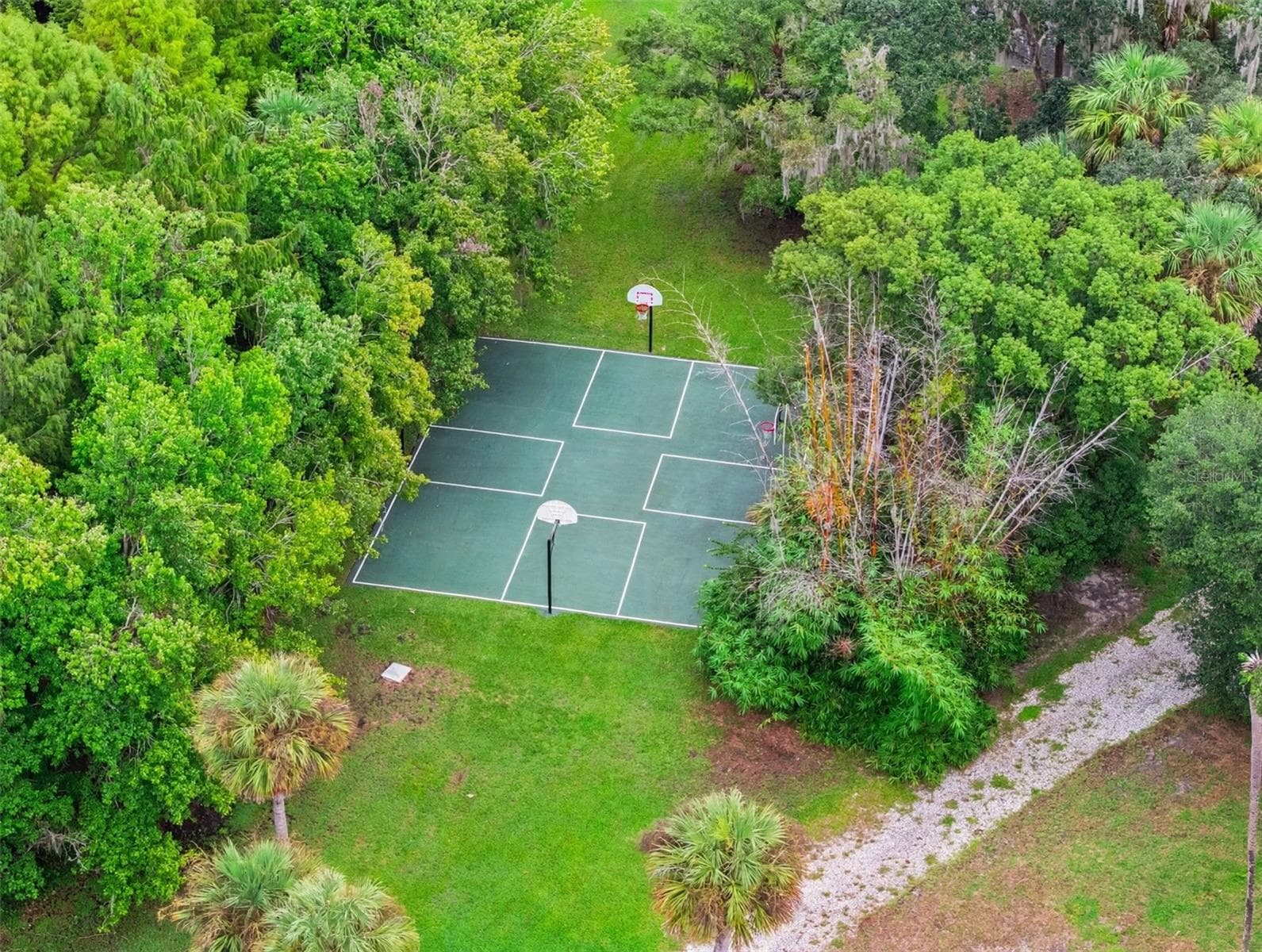 Basketball court - 221 PINE CONE LN, LONGWOOD